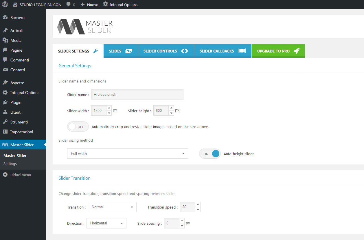 master slider options